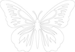 zebra longwing butterfly  outline silhouette vector