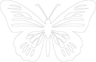 cebra ala larga mariposa contorno silueta vector