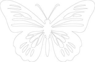 zebra longwing butterfly  outline silhouette vector