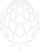 artichoke  outline silhouette vector