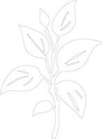 basil  outline silhouette vector