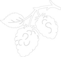 blackberry  outline silhouette vector