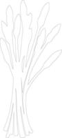 asparagus  outline silhouette vector