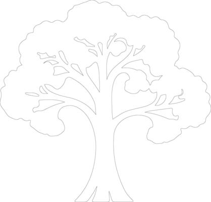 broccoli  outline silhouette