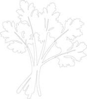 celery  outline silhouette vector