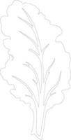 chard  outline silhouette vector