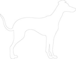 Greyhound  outline silhouette vector