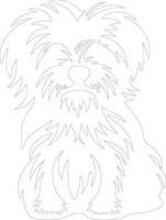 Maltese  outline silhouette vector