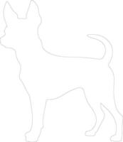 miniatura pinscher contorno silueta vector