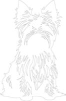 Silky Terrier outline silhouette vector