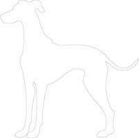 Sloughi outline silhouette vector