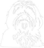 Tibetan Terrier outline silhouette vector