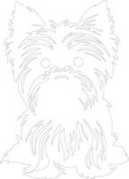 Yorkshire Terrier outline silhouette vector