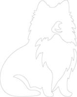 American Eskimo Dog  outline silhouette vector