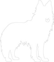 Belgian Tervuren  outline silhouette vector