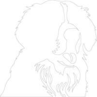 Bernese Mountain Dog  outline silhouette vector