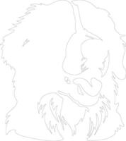 Bernese Mountain Dog  outline silhouette vector