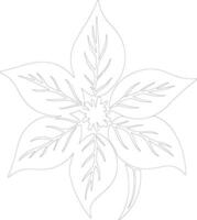 Poinsettia plant  outline silhouette vector