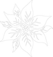 Poinsettia plant  outline silhouette vector