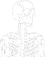 Skeleton  outline silhouette vector