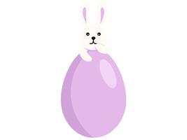 Pascua de Resurrección antecedentes con huevos y Conejo vector
