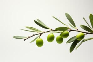 AI generated the branch with green olives sitting on it photo