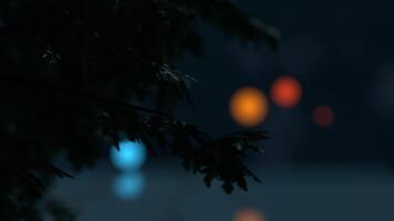 night tree focus background, blurred blinking light seamless loop video