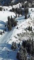 ériaire vue de une couvert de neige culminer. video