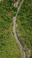 parte superior ver de escénico la carretera entre café arboles en chiang rai, del Norte tailandia video