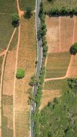 Top view of car driving on scenic road through farmland in Chiang Rai, Thailand video