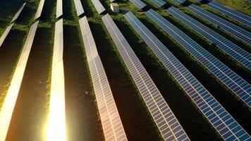 Aerial view of solar panels installed on green field on sunny day video