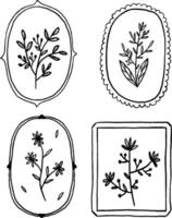 Set of black frames botanical flower. Vector illustration. Hand drawn floral wreaths collection.