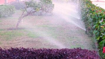 Automatic garden lawn sprinkler in action watering green grass video