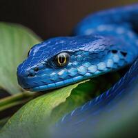 AI Generated Insect close-up, macro photography a snake. Great depth of field and lots of insect details on an isolated background. photo