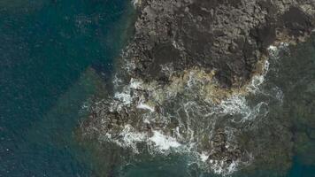 aéreo Visão do oceano ondas falhando contra a pedras do uma penhasco video