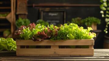 AI generated Salad tray growing on a wooden bed photo