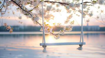 AI generated A white rope swing hangs on a blossoming pink sakura branch photo