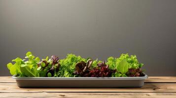 AI generated Salad tray growing on a wooden bed photo