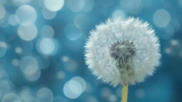 AI generated The fuzzy seed head of a dandelion, ready to disperse its wishes on the wind photo