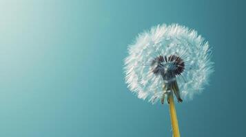 AI generated The fuzzy seed head of a dandelion, ready to disperse its wishes on the wind photo