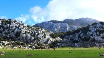 une panoramique vue de le Haut de le blanc Montagne dans le marocain ville de Tétouan temps laps video