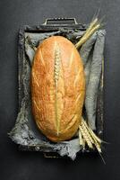 Freshly baked white oval bread. Homemade rye bread. Top view. photo