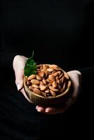 A bowl of almonds in female hands. Healthy high-calorie vegan food concept. Close up. photo