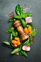 Pepper mill, basil and spices. Cooking background. Aromatic herbs. Top view. photo