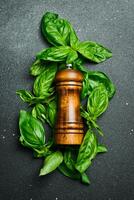 Fresh green basil and spices. Cooking background. Aromatic herbs. Top view. photo