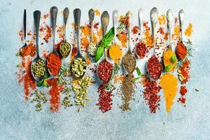 Spices and herbs in spoons on a gray stone background. Top view. Free space for text. photo