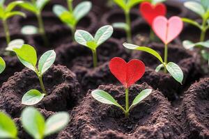 AI generated A garden with multiple saplings and a heart shape in the foreground. ai generative photo