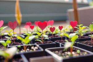 AI generated A close-up of several potted plants with hearts growing out of them. ai generative photo