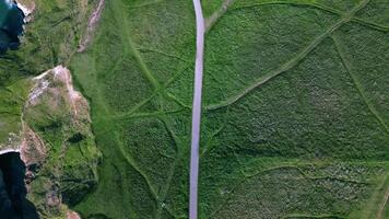 aéreo Visão do uma enrolamento estrada corte através uma exuberante verde panorama com distinto pneu faixas em qualquer lado. video