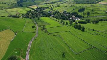 antenne visie van weelderig groen platteland met lapwerk velden en een kronkelend weg. video